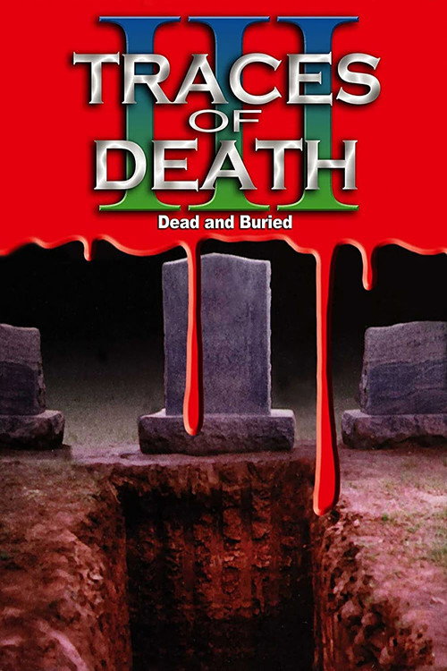 地下影带3:死在亚洲