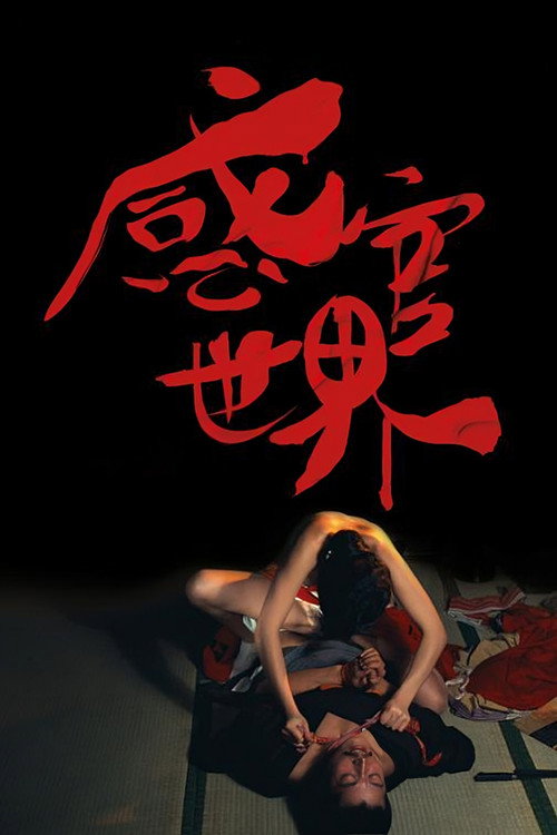 感官世界