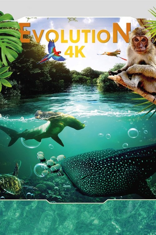 进化4K
