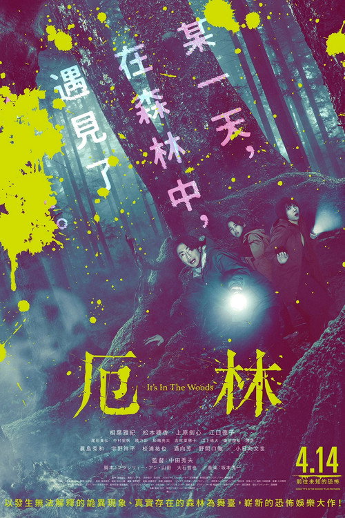 “那个”所在的森林