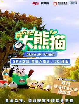 大熊猫