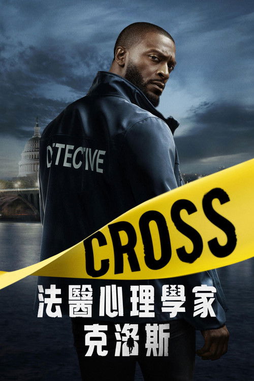 神探追缉令