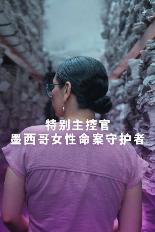 特别主控官:墨西哥女性命案守护者
