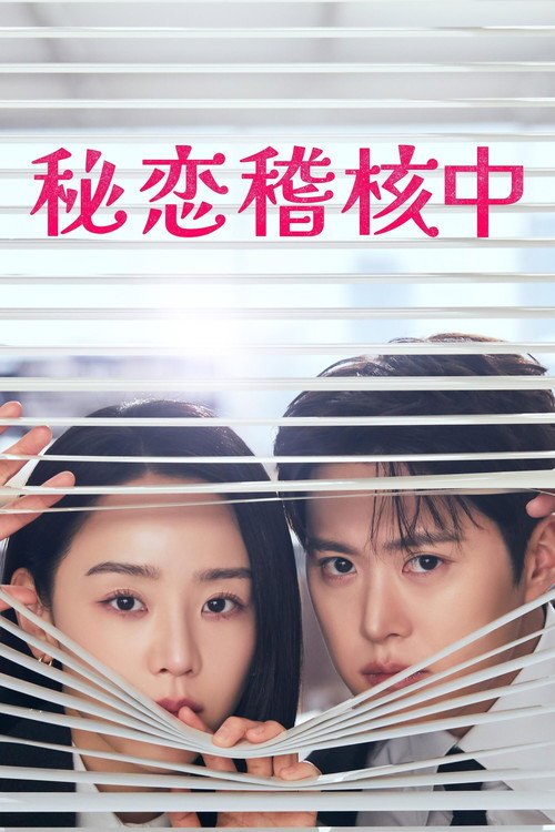 隐秘的监察