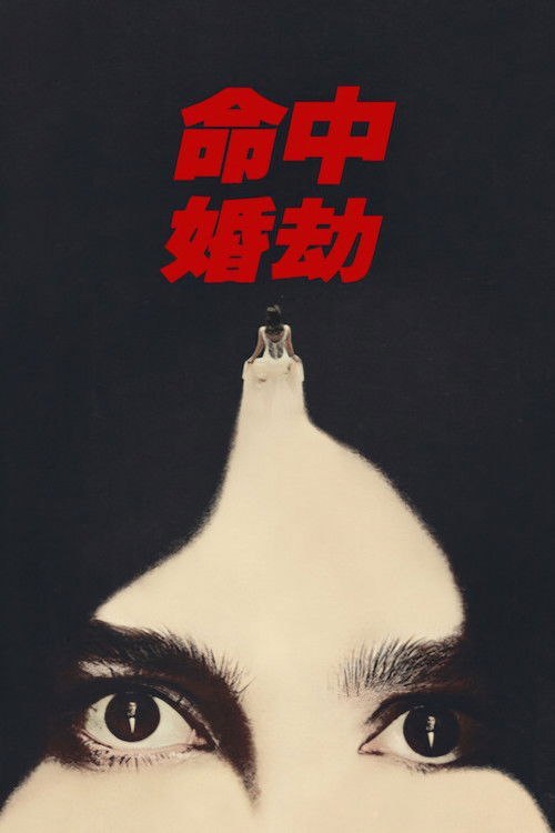 命中婚劫
