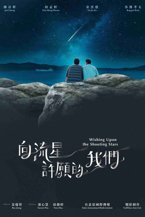 向流星许愿的我们