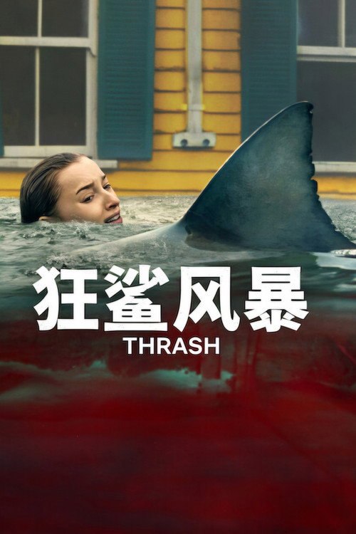 狂鲨风暴