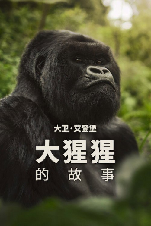 大卫·艾登堡:大猩猩的故事
