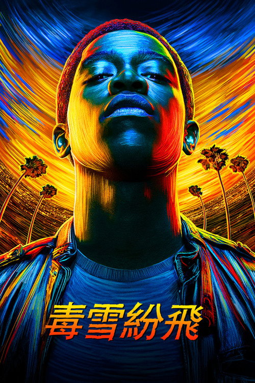 白粉飞 第六季
