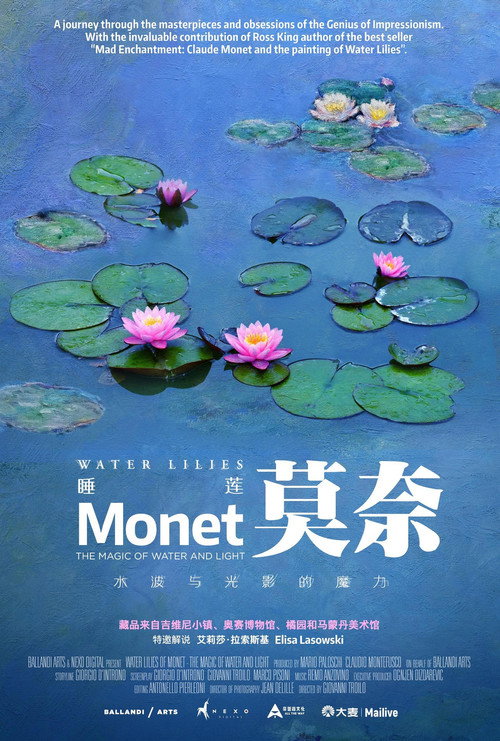 光影与魔法