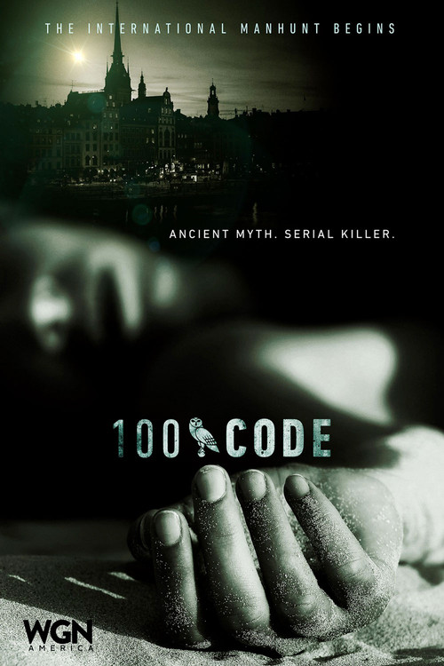 代码100