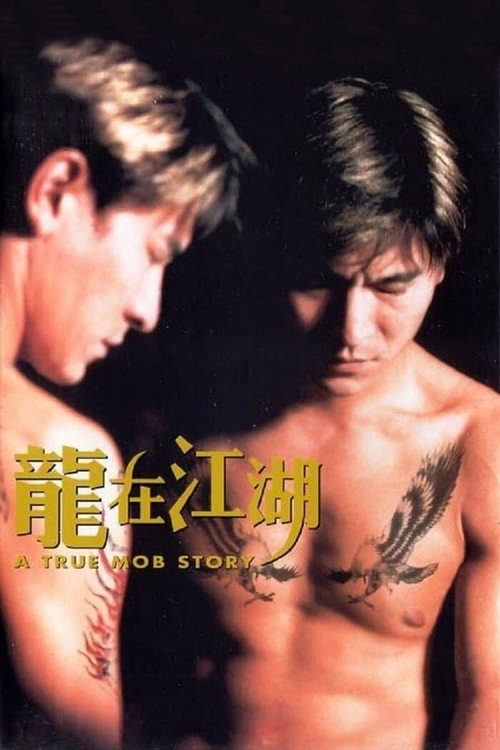 龙在江湖