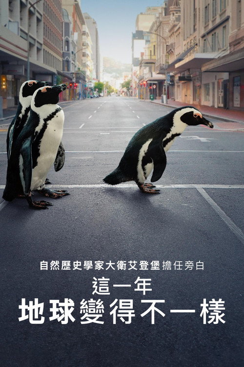 地球改变之年