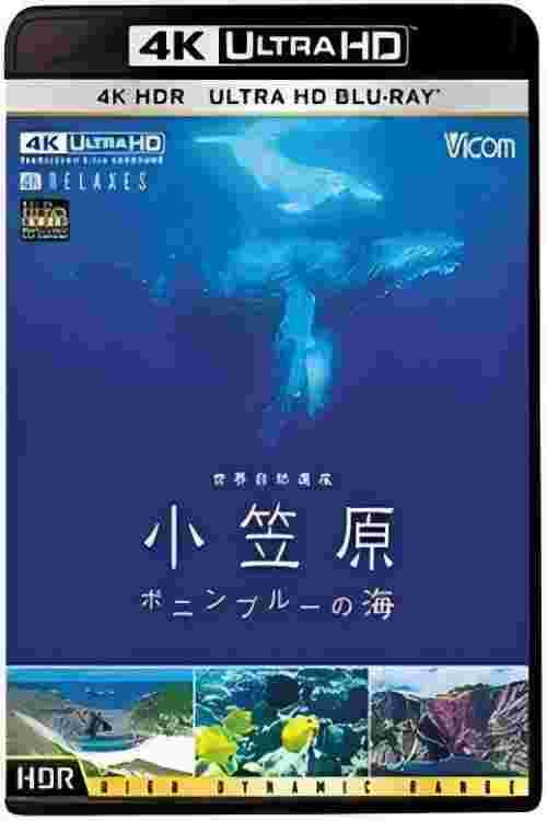 世界自然遗产：小笠原