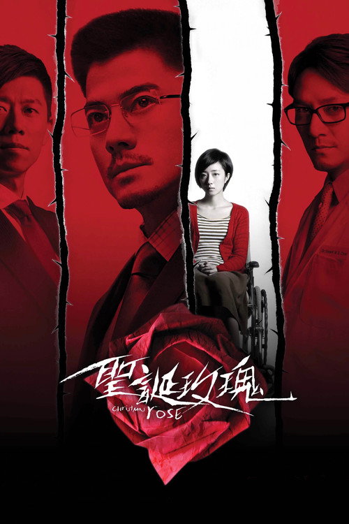圣诞玫瑰