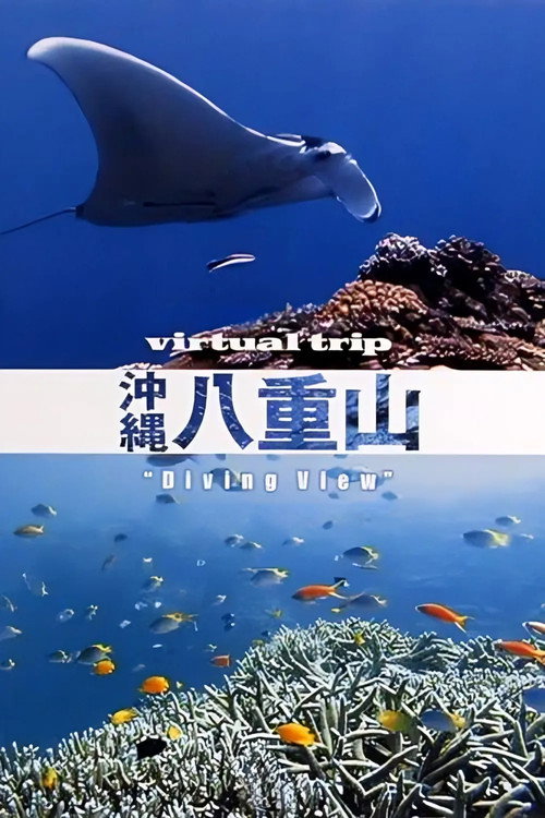 实境之旅：冲绳八重山