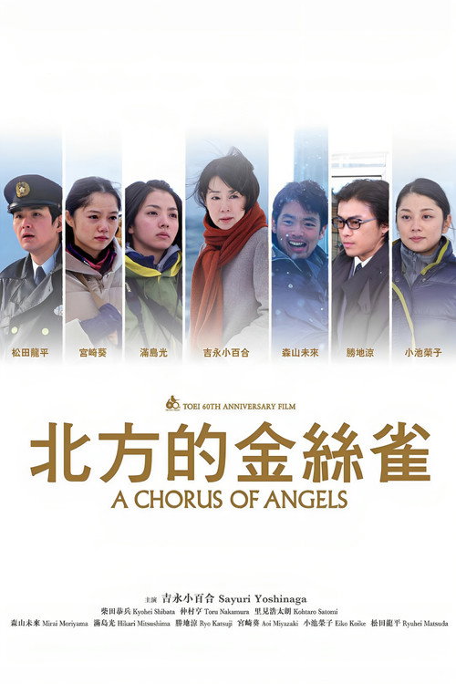 北方的金丝雀