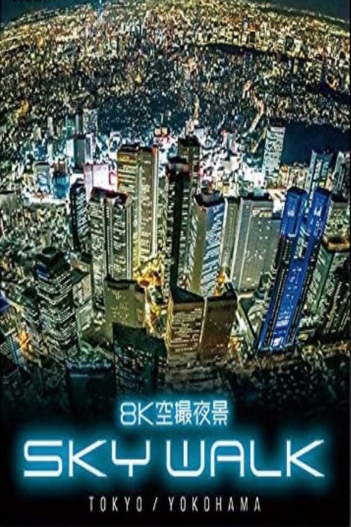 8K空摄夜景：东京与横滨的空中漫步