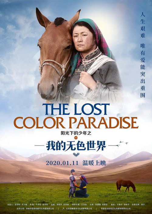 我的阳光