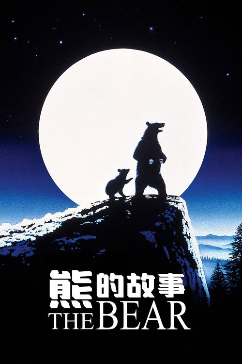 子熊故事