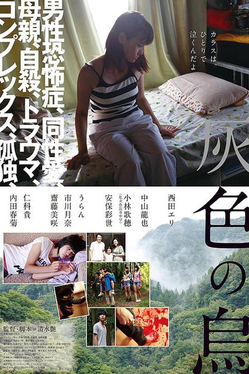 灰乌鸦