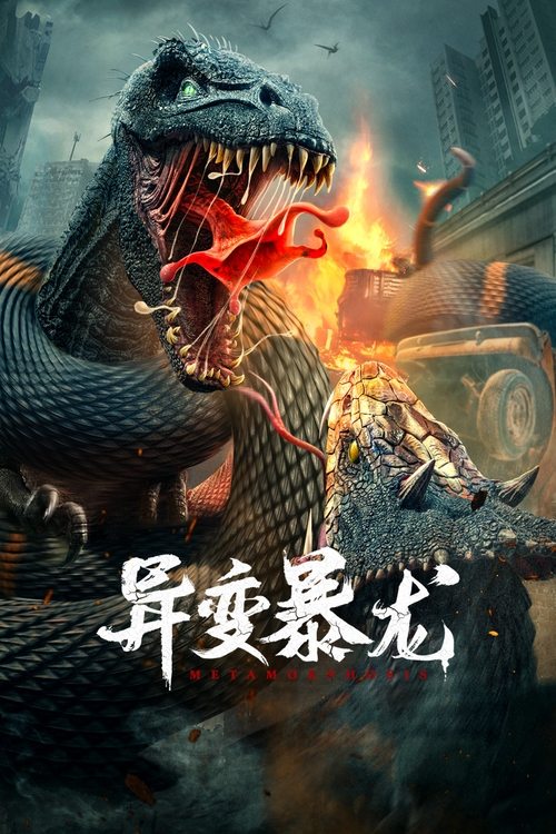 暴龙