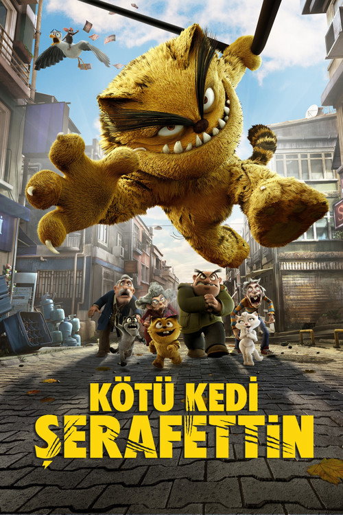 痞子猫 Kötü Kedi Serafettin