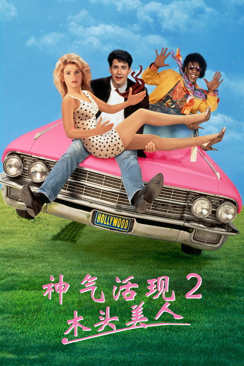 木头美人