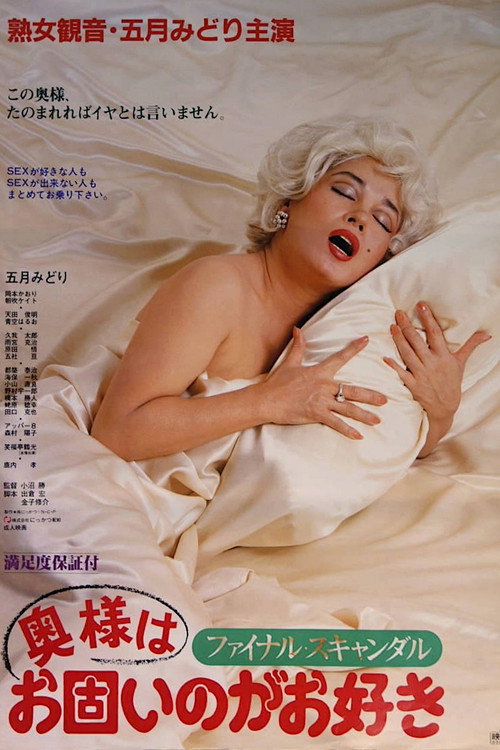 丑闻夫人：最后的丑闻