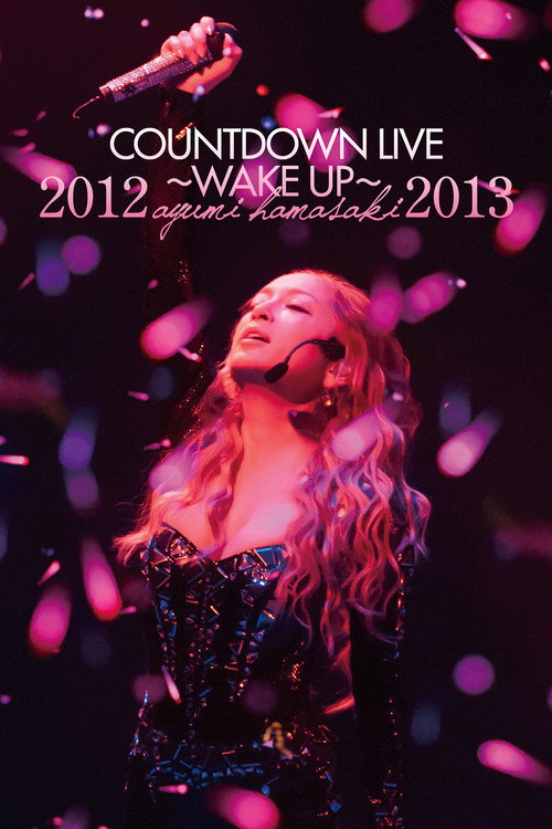滨崎步：2012-2013跨年演唱会