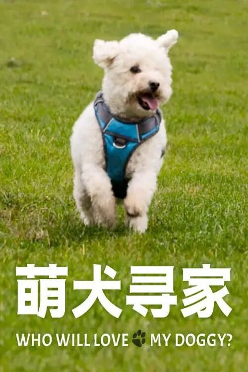 寻家 第一季