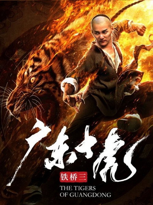 广东铁桥三