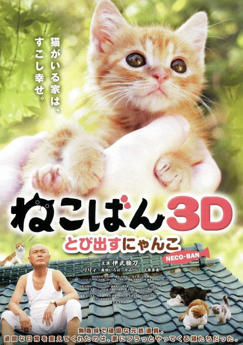 小猫跳出来