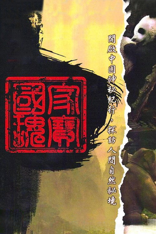 中国神秘纪行