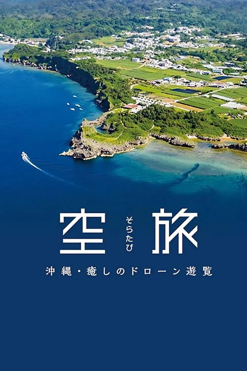 空中旅行・冲绳