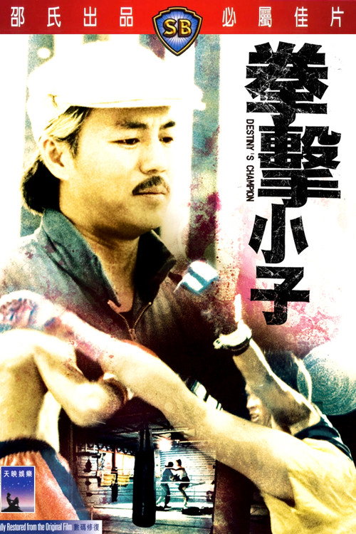 拳击