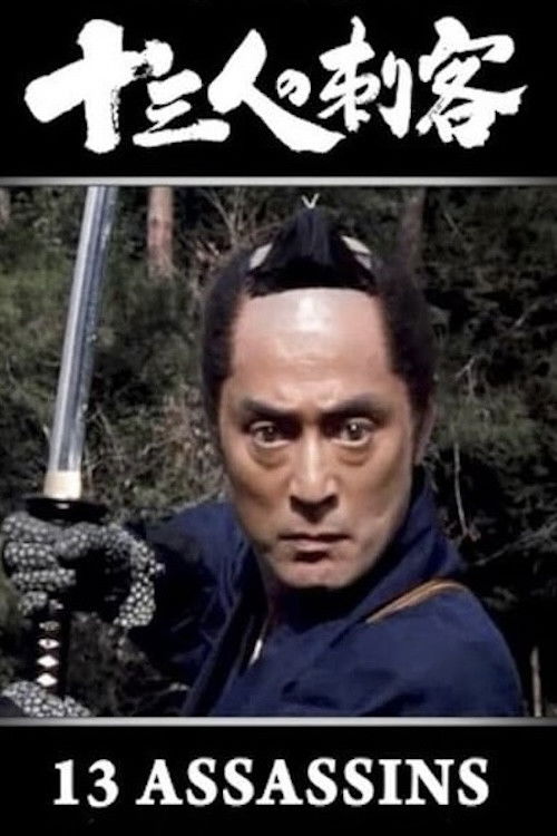 十三刺客 13