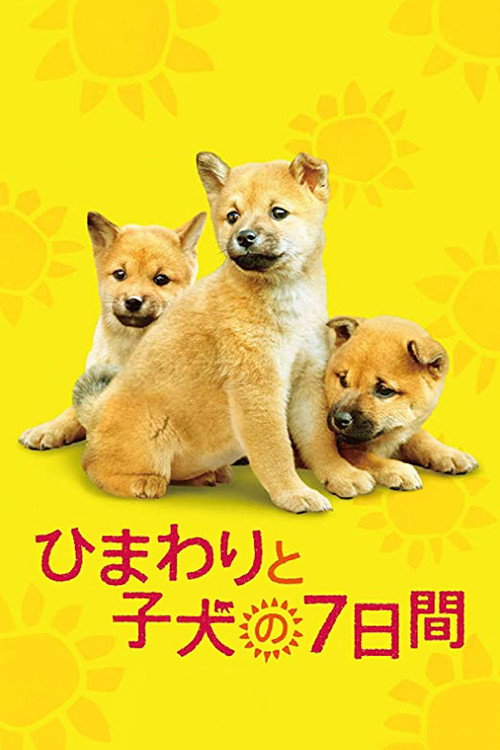 向日葵与幼犬的7天 7