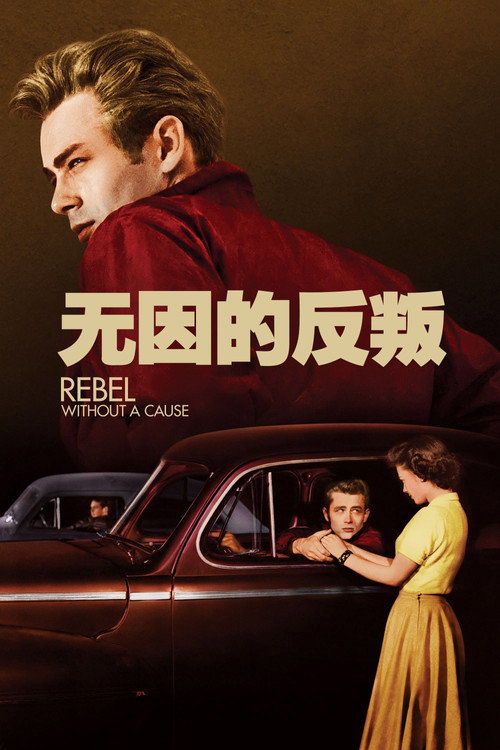 无因的反抗