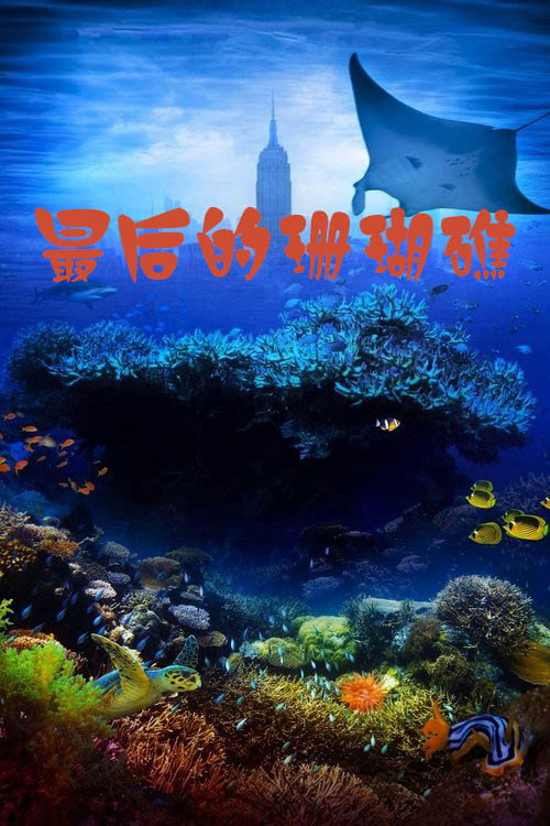 最后的珊瑚礁