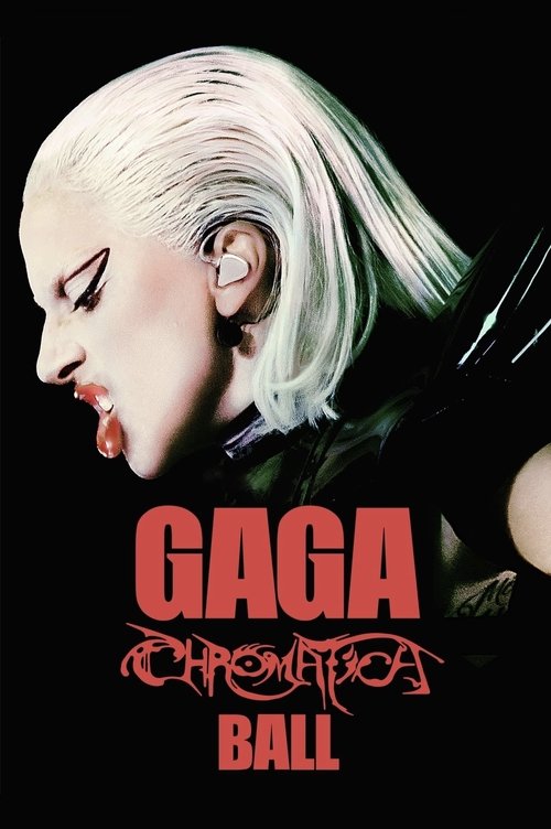 Lady Gaga：神彩巡回演唱会