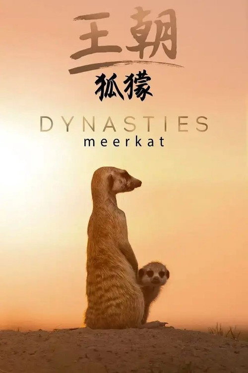 王朝:狐獴特辑