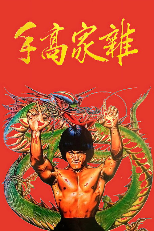 杂家高手