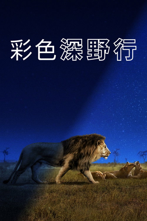 夜色中的地球 第二季