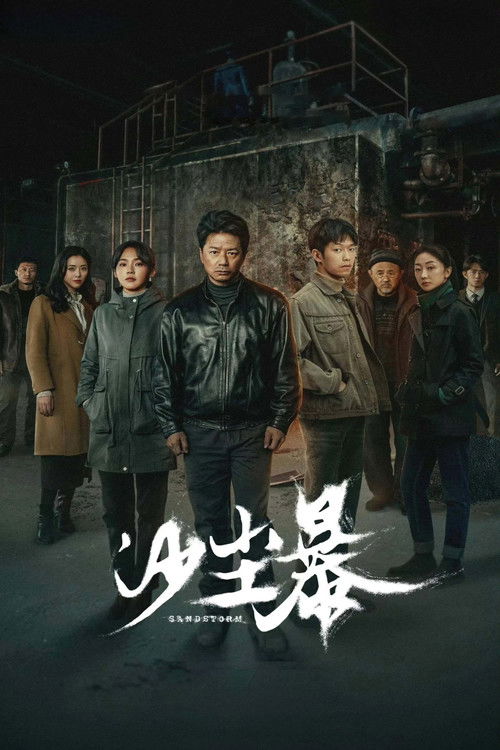 沙尘暴 沙尘暴