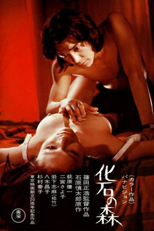 化石森林