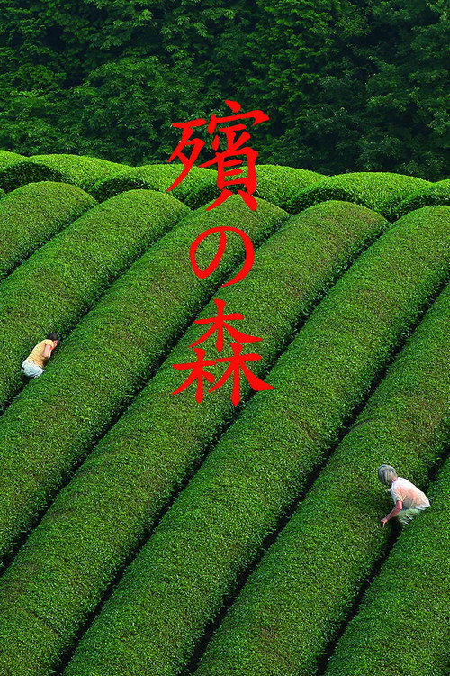 殡之森